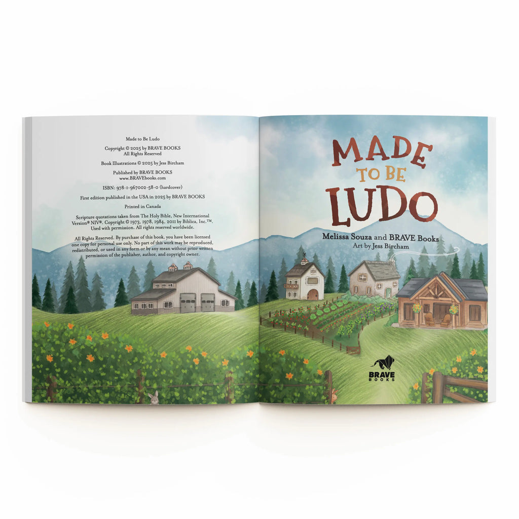 Made to be Ludo